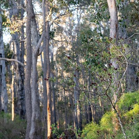 Jarrah Grove Forest Retreat - Adults Only Luxury Chalet Rosa Glen Buitenkant foto
