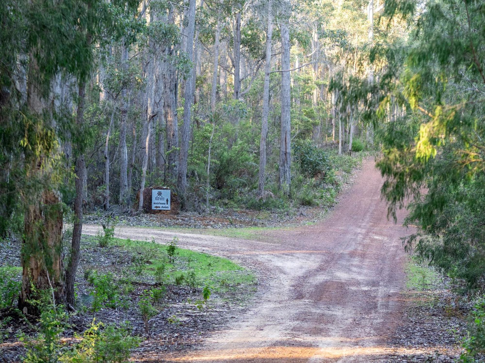 Jarrah Grove Forest Retreat - Adults Only Luxury Chalet Rosa Glen Buitenkant foto
