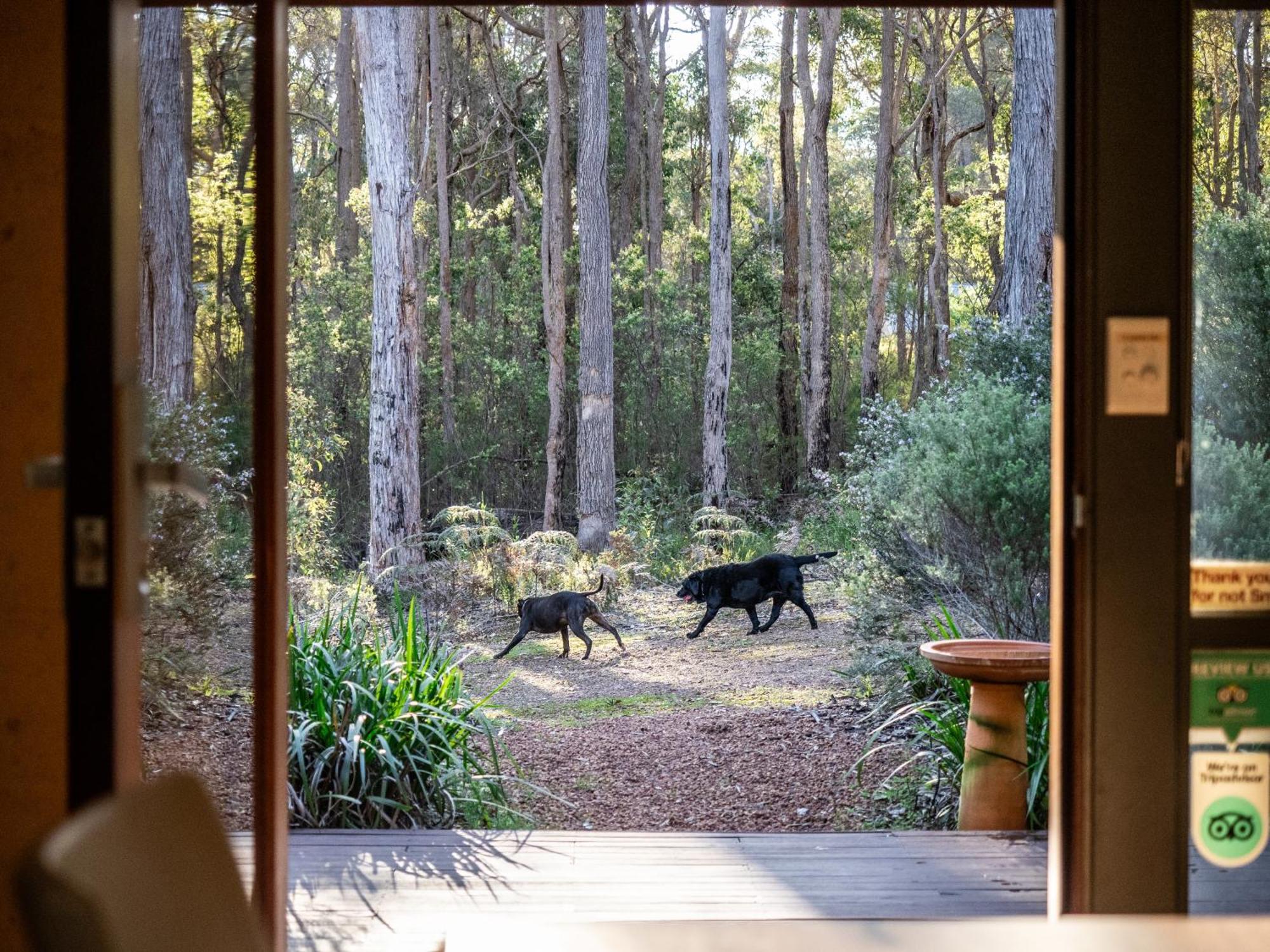 Jarrah Grove Forest Retreat - Adults Only Luxury Chalet Rosa Glen Buitenkant foto