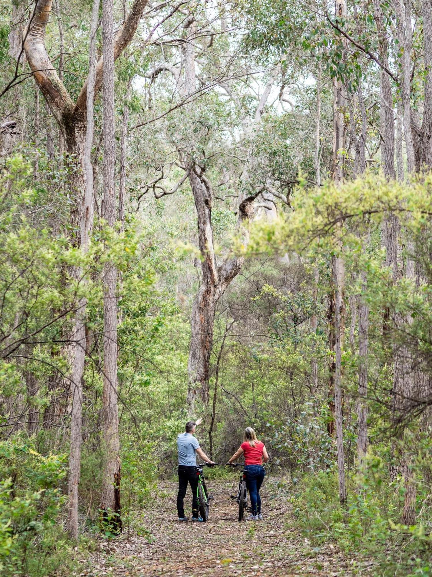 Jarrah Grove Forest Retreat - Adults Only Luxury Chalet Rosa Glen Buitenkant foto
